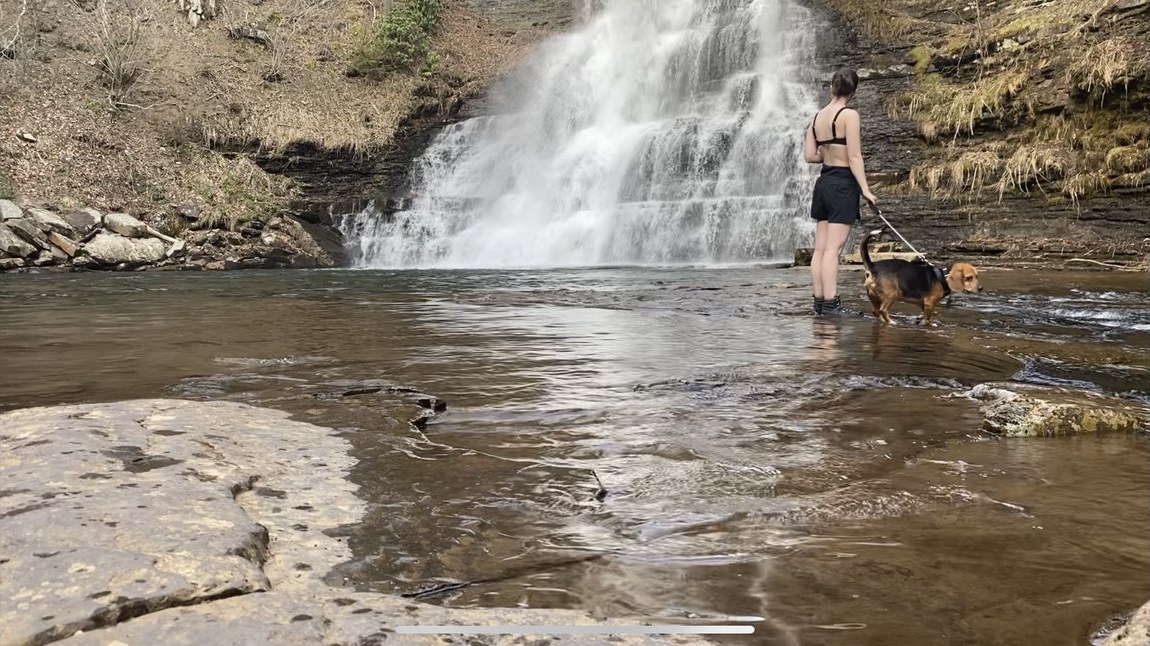 A waterfall falling into a shallow river with someone wading below